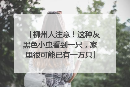 柳州人注意！这种灰黑色小虫看到一只，家里很可能已有一万只