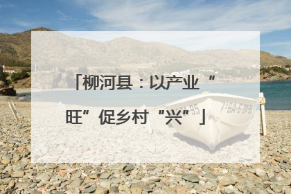 柳河县：以产业“旺”促乡村“兴”