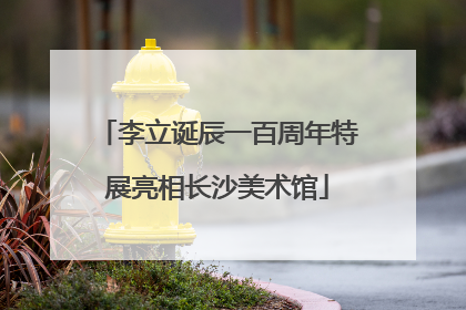 李立诞辰一百周年特展亮相长沙美术馆