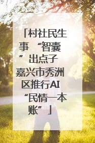 村社民生事 “智囊”出点子 嘉兴市秀洲区推行AI“民情一本账”