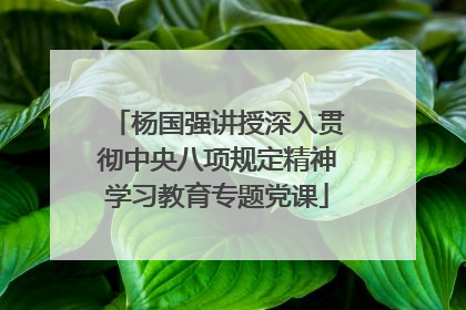 杨国强讲授深入贯彻中央八项规定精神学习教育专题党课