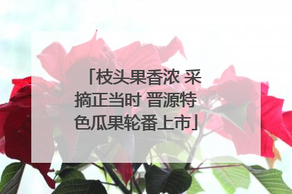 枝头果香浓 采摘正当时 晋源特色瓜果轮番上市