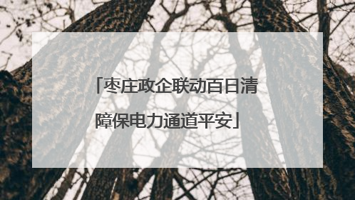 枣庄政企联动百日清障保电力通道平安