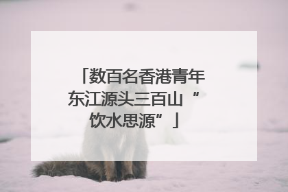 数百名香港青年东江源头三百山“饮水思源”