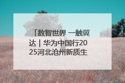 数智世界 一触冀达｜华为中国行2025河北沧州新质生产力峰会成功举办