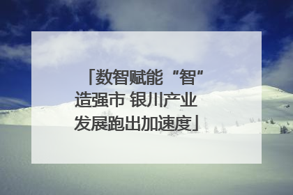数智赋能“智”造强市 银川产业发展跑出加速度
