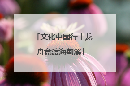 文化中国行丨龙舟竞渡海甸溪