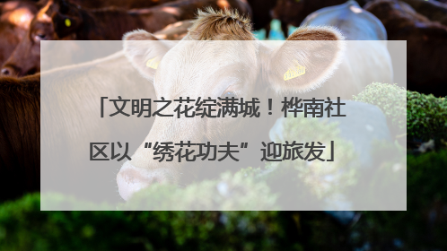 文明之花绽满城！桦南社区以“绣花功夫”迎旅发