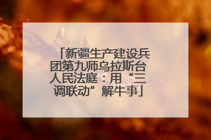 新疆生产建设兵团第九师乌拉斯台人民法庭：用“三调联动”解牛事
