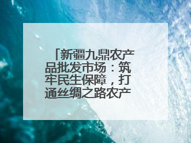 新疆九鼎农产品批发市场：筑牢民生保障，打通丝绸之路农产品贸易枢纽