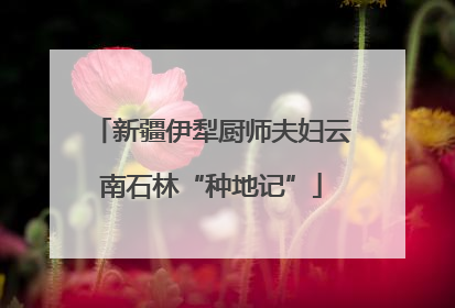 新疆伊犁厨师夫妇云南石林“种地记”