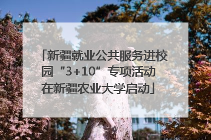 新疆就业公共服务进校园“3+10”专项活动在新疆农业大学启动