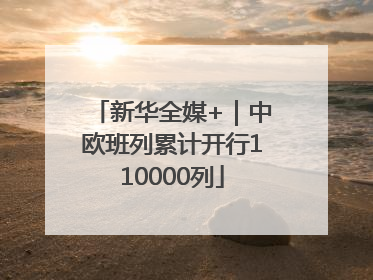 新华全媒+｜中欧班列累计开行110000列