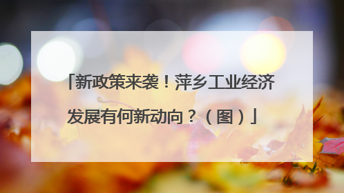 新政策来袭！萍乡工业经济发展有何新动向？（图）