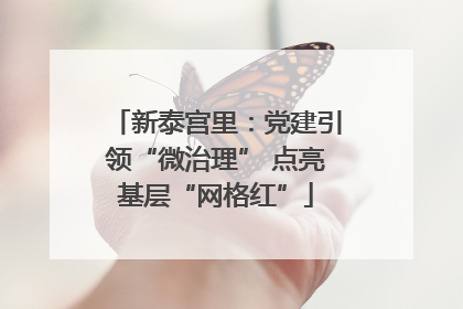 新泰宫里：党建引领“微治理” 点亮基层“网格红”