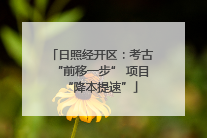 日照经开区：考古“前移一步” 项目“降本提速”