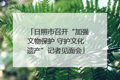 日照市召开“加强文物保护 守护文化遗产”记者见面会