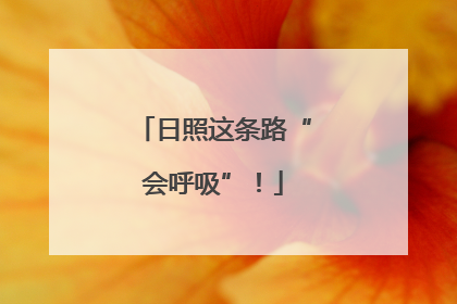 日照这条路“会呼吸”！