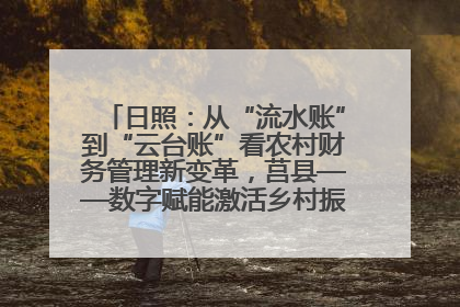 日照：从“流水账”到“云台账”看农村财务管理新变革，莒县——数字赋能激活乡村振兴“一池春水”