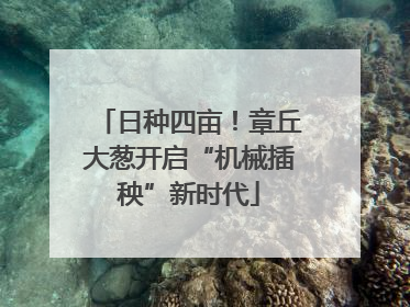 日种四亩！章丘大葱开启“机械插秧”新时代
