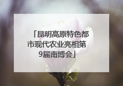 昆明高原特色都市现代农业亮相第9届南博会