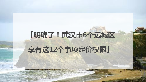 明确了！武汉市6个远城区享有这12个事项定价权限