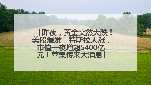 昨夜，黄金突然大跌！美股爆发，特斯拉大涨，市值一夜增超5400亿元！苹果传来大消息