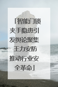 智能门锁夹手隐患引发舆论聚集 王力安防推动行业安全革命
