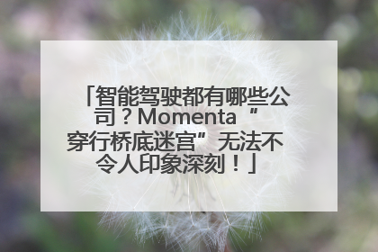 智能驾驶都有哪些公司？Momenta“穿行桥底迷宫”无法不令人印象深刻！