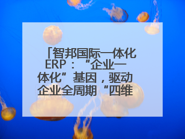 智邦国际一体化ERP：“企业一体化”基因，驱动企业全周期“四维质变”