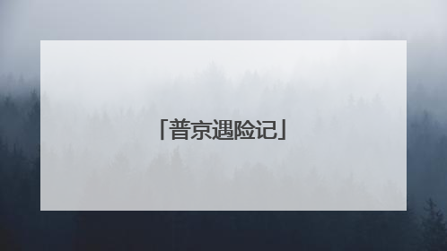 普京遇险记