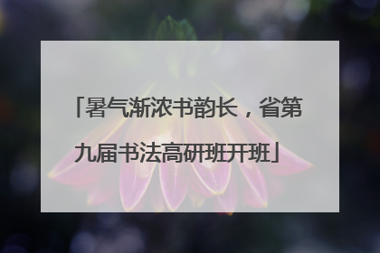 暑气渐浓书韵长，省第九届书法高研班开班