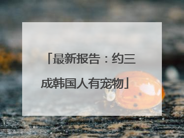 最新报告：约三成韩国人有宠物