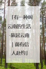 有一种叫云南的生活·旅居云南｜菌有信 人赴约