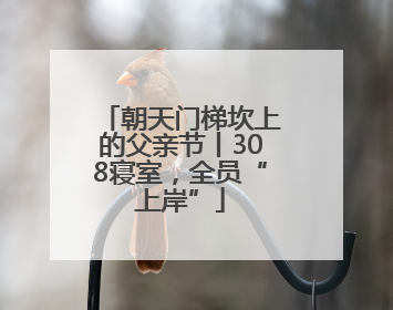 朝天门梯坎上的父亲节丨308寝室，全员“上岸”