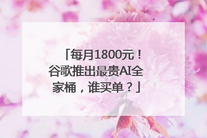 每月1800元！谷歌推出最贵AI全家桶，谁买单？