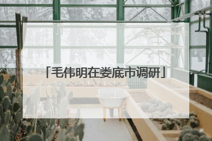 毛伟明在娄底市调研