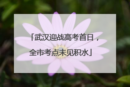 武汉迎战高考首日，全市考点未见积水