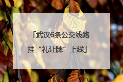 武汉6条公交线路挂“礼让牌”上线