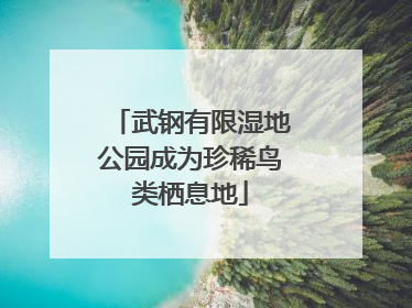 武钢有限湿地公园成为珍稀鸟类栖息地
