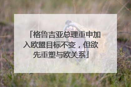 格鲁吉亚总理重申加入欧盟目标不变，但欲先重塑与欧关系