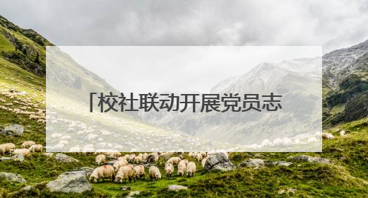 校社联动开展党员志愿服务活动，让文明实践“升温着色”