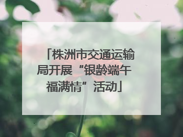 株洲市交通运输局开展“银龄端午福满情”活动
