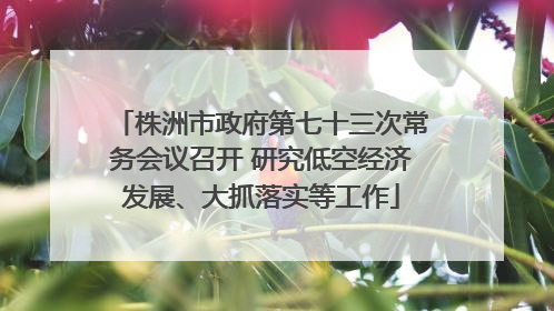 株洲市政府第七十三次常务会议召开 研究低空经济发展、大抓落实等工作