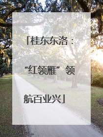 桂东东洛：“红领雁”领航百业兴