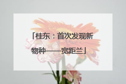 桂东：首次发现新物种——宽距兰