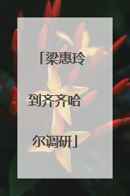 梁惠玲到齐齐哈尔调研