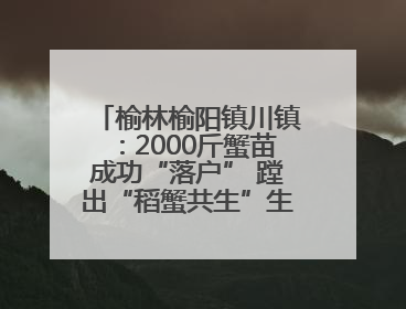 榆林榆阳镇川镇：2000斤蟹苗成功“落户” 蹚出“稻蟹共生”生态种养新路径