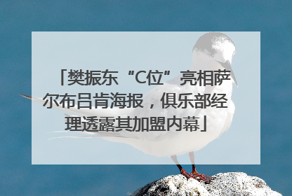 樊振东“C位”亮相萨尔布吕肯海报，俱乐部经理透露其加盟内幕