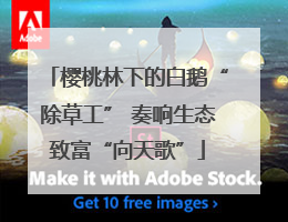 樱桃林下的白鹅“除草工” 奏响生态致富“向天歌”